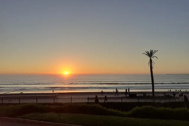 Sun setting over the Atlantic behind a palm tree on Agadir's beachfront
